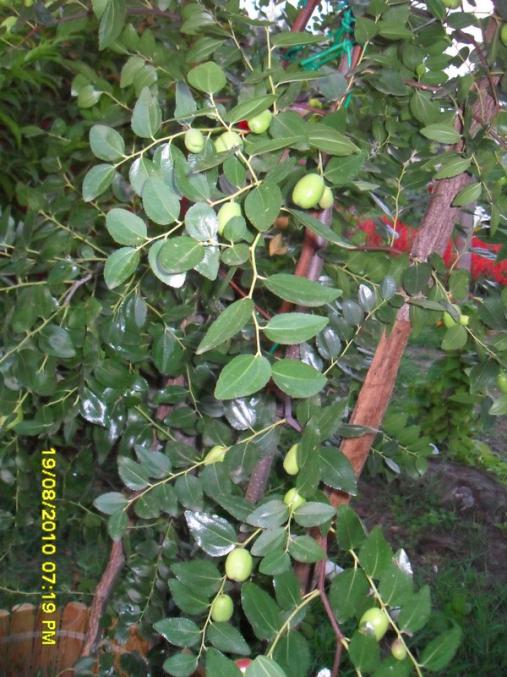 Name:  035.jpg
Views: 639
Size:  70.2 KB