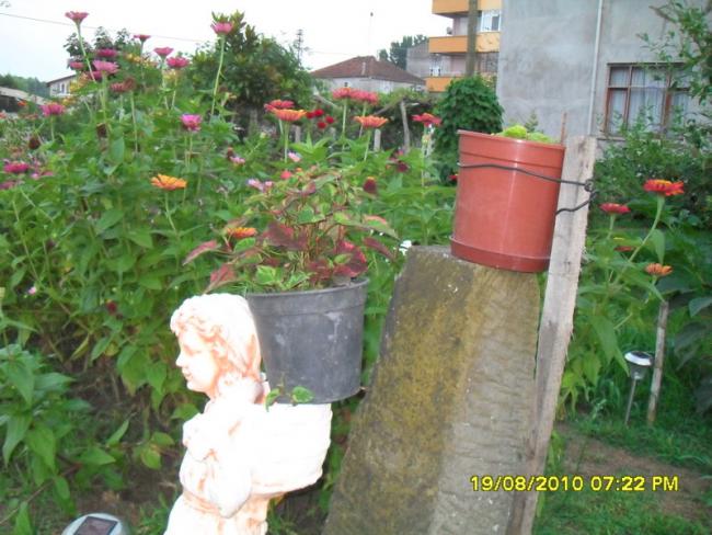 Name:  050.jpg
Views: 608
Size:  56.9 KB