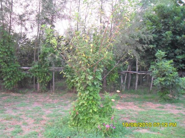 Name:  018.jpg
Views: 594
Size:  70.8 KB