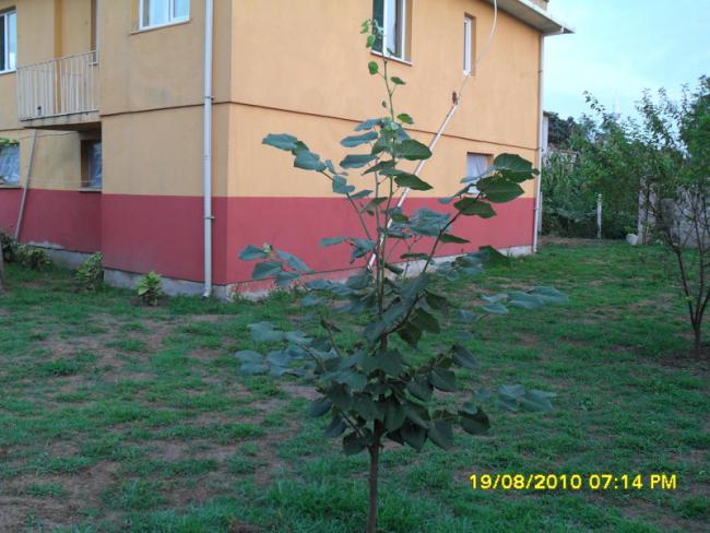 Name:  022.jpg
Views: 583
Size:  52.6 KB
