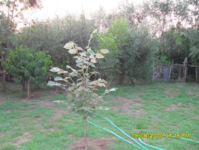Name:  023.jpg
Views: 601
Size:  61.9 KB