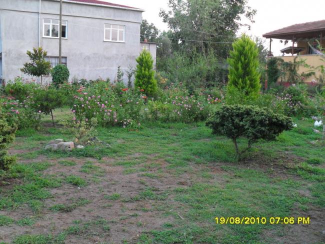 Name:  003.jpg
Views: 591
Size:  69.8 KB