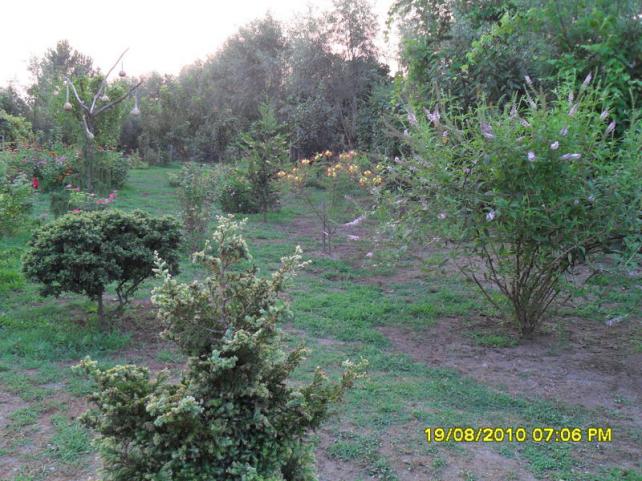 Name:  004.jpg
Views: 628
Size:  71.0 KB