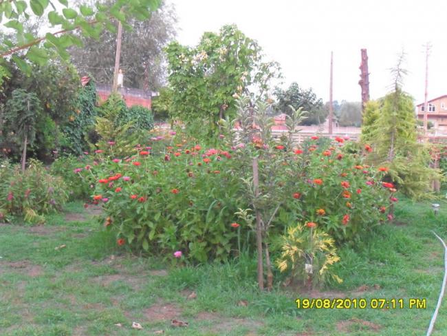 Name:  016.jpg
Views: 593
Size:  64.1 KB