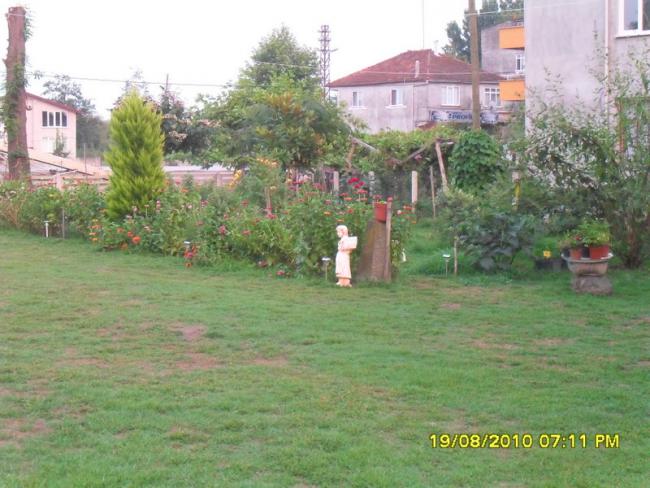 Name:  017.jpg
Views: 591
Size:  55.3 KB