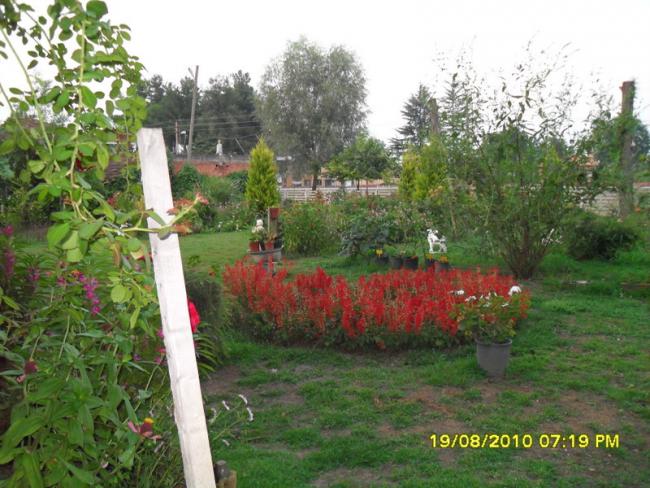 Name:  037.jpg
Views: 625
Size:  62.2 KB