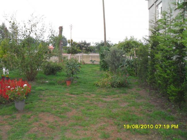 Name:  038.jpg
Views: 558
Size:  53.8 KB