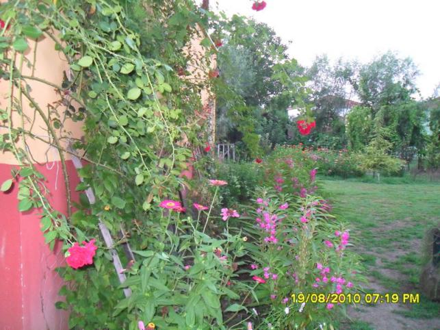 Name:  039.jpg
Views: 601
Size:  70.9 KB