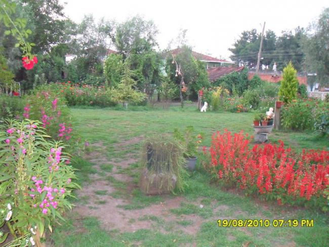 Name:  040.jpg
Views: 577
Size:  63.9 KB