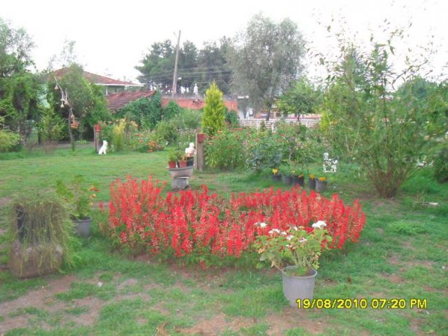 Name:  041.jpg
Views: 579
Size:  59.2 KB