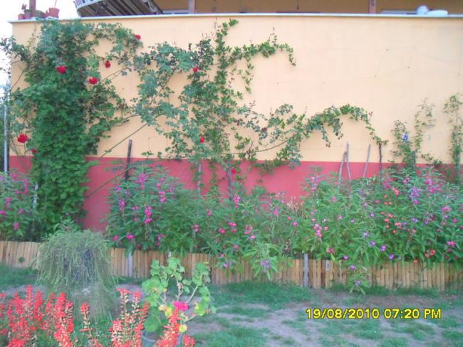 Name:  042.jpg
Views: 569
Size:  63.0 KB