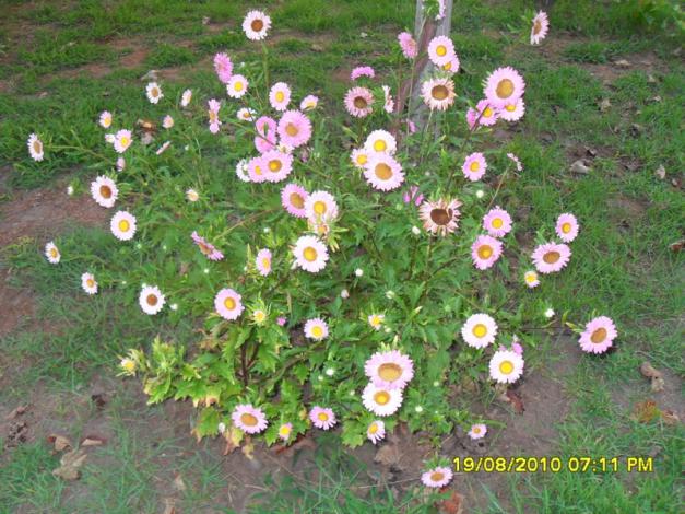 Name:  015.jpg
Views: 668
Size:  70.8 KB