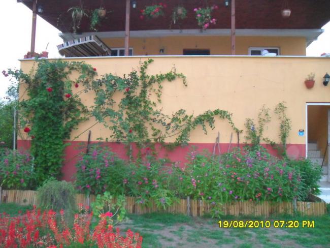 Name:  044.jpg
Views: 608
Size:  53.0 KB