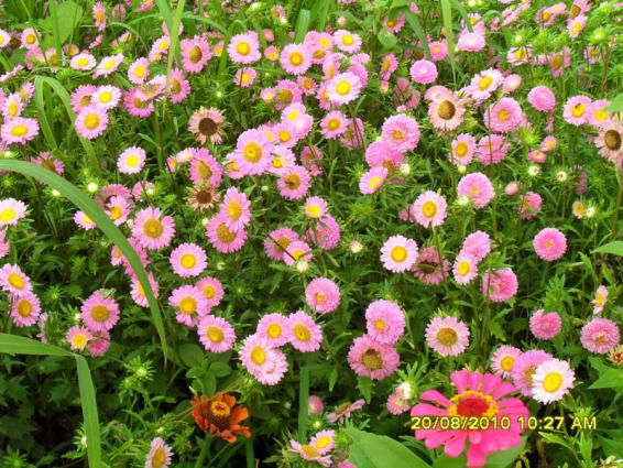 Name:  008.jpg
Views: 598
Size:  74.0 KB