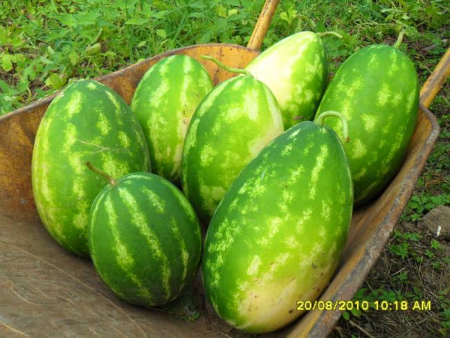 Name:  006.jpg
Views: 590
Size:  62.6 KB