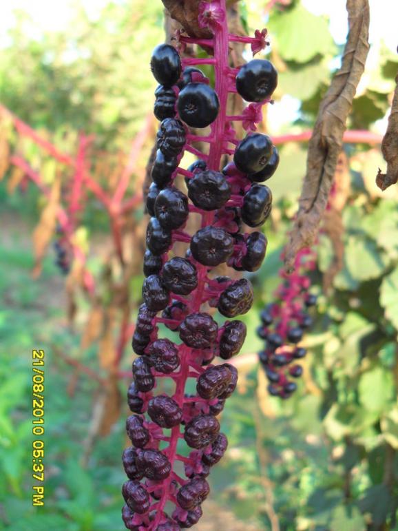 Name:  001.jpg
Views: 2698
Size:  65.6 KB