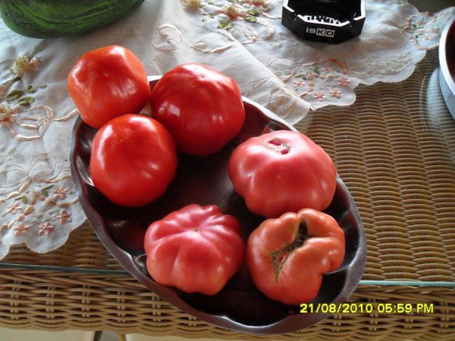 Name:  028.jpg
Views: 852
Size:  55.9 KB
