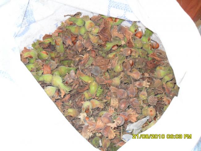 Name:  038.jpg
Views: 784
Size:  45.2 KB