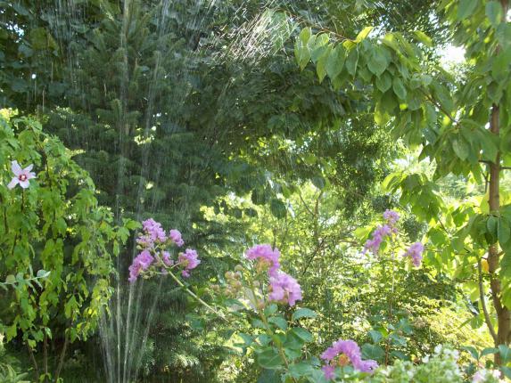 Name:  100_2955.jpg
Views: 543
Size:  71.5 KB