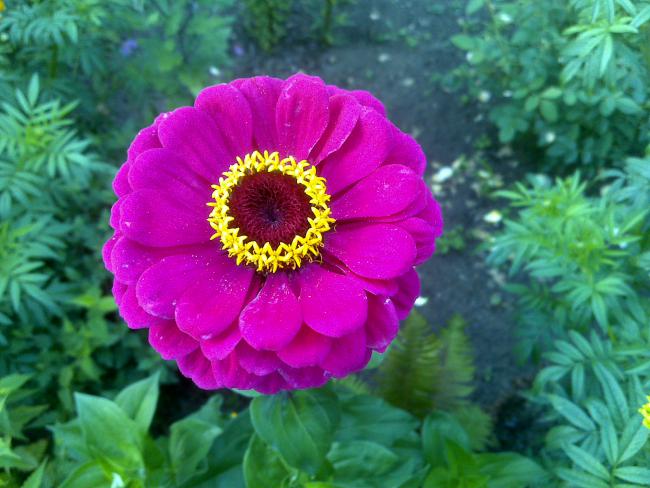 Name:  Foto1246.jpg
Views: 747
Size:  50.8 KB