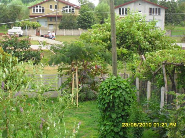 Name:  001.jpg
Views: 1089
Size:  70.9 KB