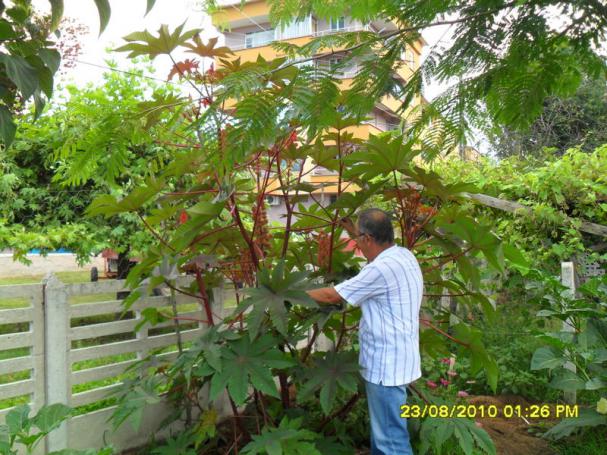 Name:  009.jpg
Views: 1040
Size:  71.2 KB