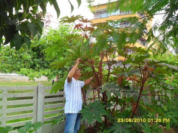 Name:  010.jpg
Views: 1079
Size:  70.8 KB