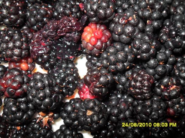 Name:  005.jpg
Views: 845
Size:  71.7 KB