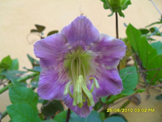 Name:  001.jpg
Views: 482
Size:  32.3 KB
