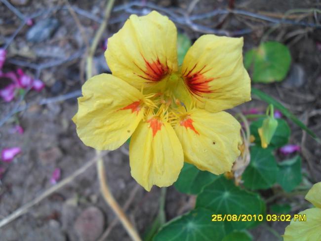 Name:  004.jpg
Views: 469
Size:  37.9 KB