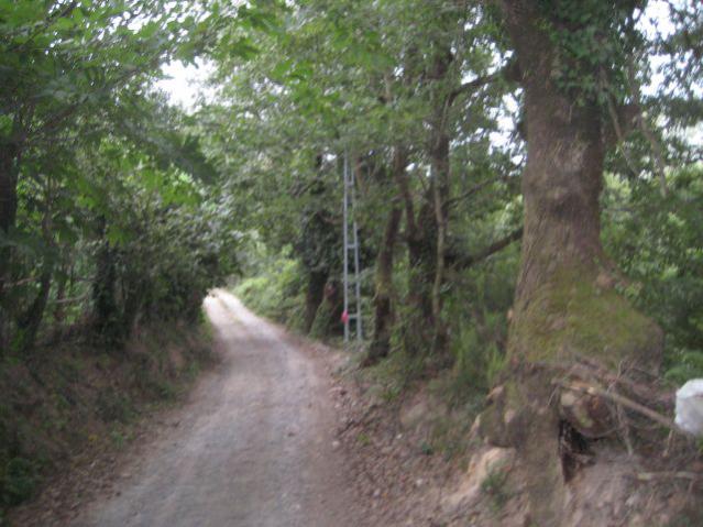 Name:  IMG_3342.jpg
Views: 984
Size:  52.0 KB