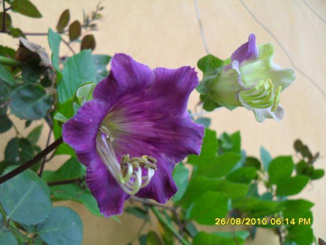 Name:  015.jpg
Views: 592
Size:  37.3 KB