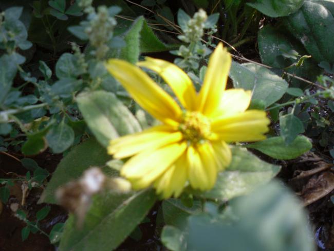 Name:  SDC11209 copy.jpg
Views: 626
Size:  40.8 KB