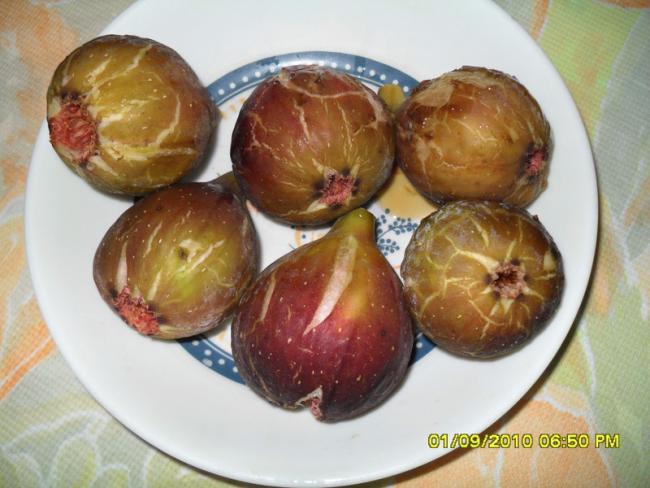 Name:  008.jpg
Views: 479
Size:  46.1 KB