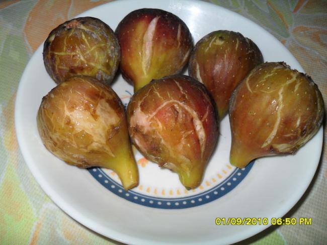 Name:  009.jpg
Views: 460
Size:  44.0 KB