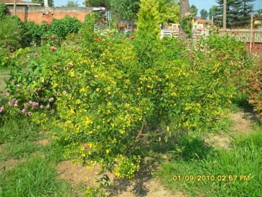 Name:  002.jpg
Views: 474
Size:  73.2 KB