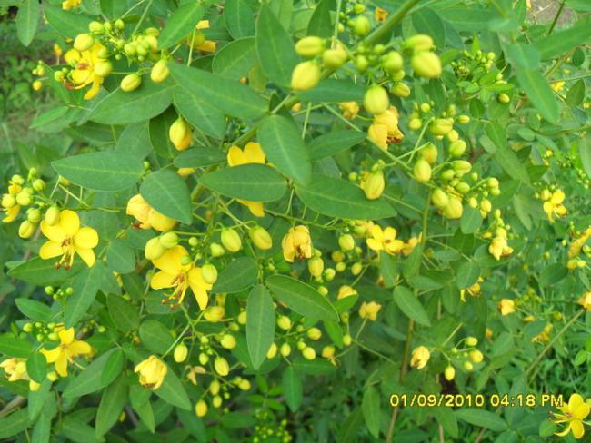 Name:  006.jpg
Views: 483
Size:  63.1 KB