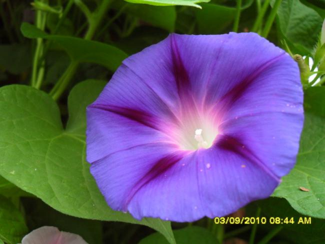 Name:  003.jpg
Views: 1066
Size:  34.6 KB