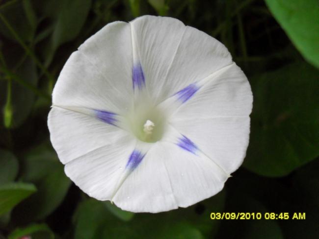 Name:  005.jpg
Views: 1006
Size:  24.9 KB