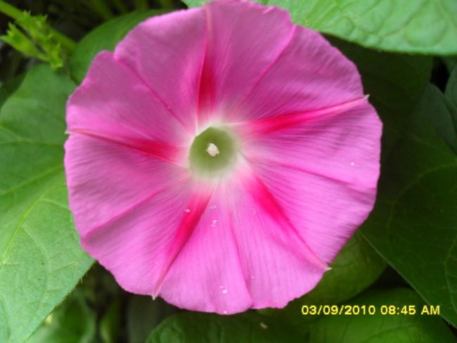 Name:  007.jpg
Views: 1009
Size:  32.8 KB