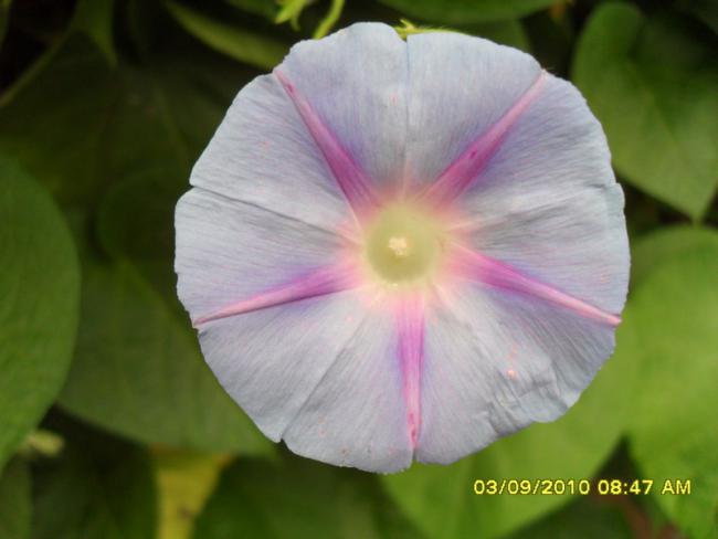 Name:  012.jpg
Views: 1028
Size:  28.1 KB
