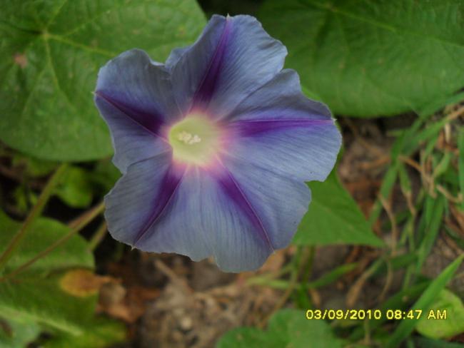 Name:  015.jpg
Views: 945
Size:  32.5 KB