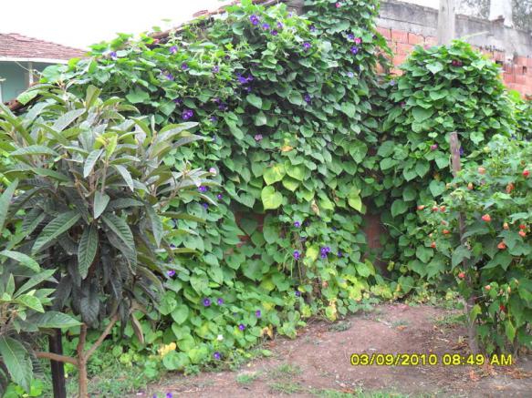 Name:  021.jpg
Views: 952
Size:  72.9 KB
