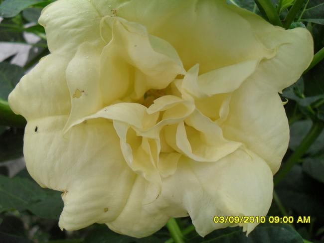 Name:  041.jpg
Views: 969
Size:  28.5 KB