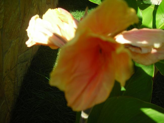Name:  DSCN3159.jpg
Views: 519
Size:  29.4 KB