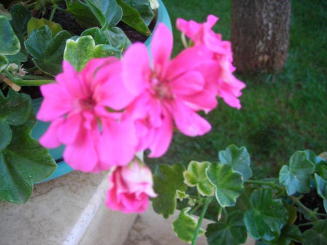 Name:  DSCN3174.jpg
Views: 538
Size:  41.2 KB