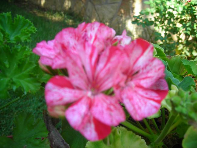 Name:  DSCN3180.jpg
Views: 529
Size:  42.3 KB