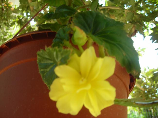 Name:  DSCN3196.jpg
Views: 550
Size:  35.7 KB