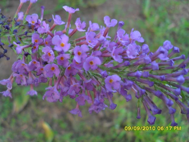 Name:  034.jpg
Views: 1668
Size:  43.7 KB