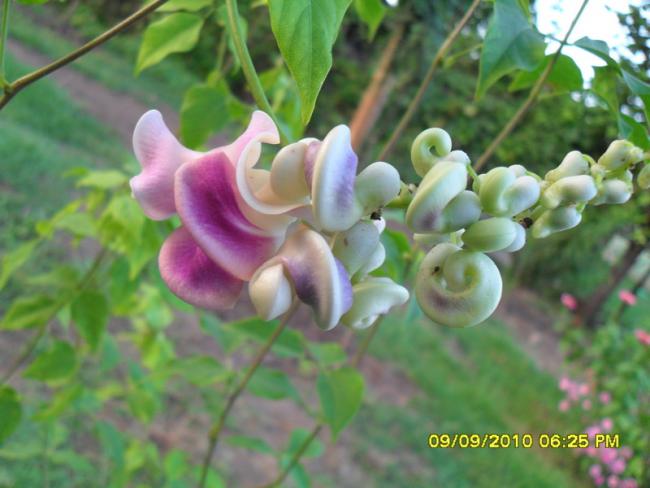 Name:  043.jpg
Views: 960
Size:  41.1 KB